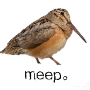 MEEP