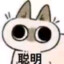 提提子老师