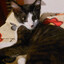 Avatar of ~LaDy_MoRgAnA~