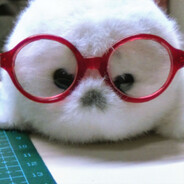 我想去码头整点薯条