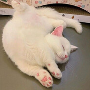 Настюха Пулемет