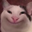 MrFluffles