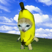 BANANA CAT