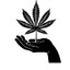 FourTwenty