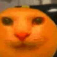 jalli1337's Steam avatar