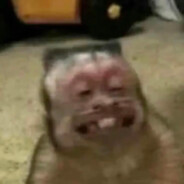 吗喽突击队薛之别