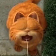 Avatar of Garfelde