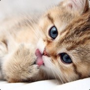 毫！无！美！感！