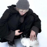 爱是雪地里写诗