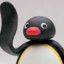 Noot