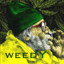 ✪ Weedy bucuresti.llg.ro