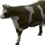 Lumbridge Cow