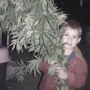 ya zvida, tobi pizda