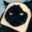 cat_toast