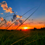 无望生的而知惜