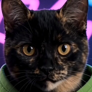 /ZZ TOP/Katze avatar