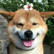 山东淄博大浩哥