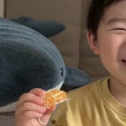 小秦今天瘦了吗！