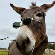 AAA.山东第一大舔王👑（