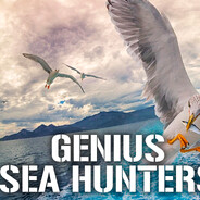 Seagull genius