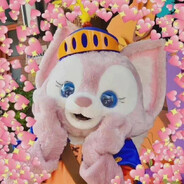 统计王子浩老师