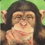 MACACO :D