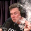 Elon Dust