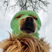 国产看见白月光