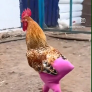 Wak Kentut