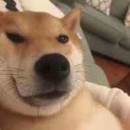 她与残局皆是遗憾