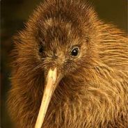 ExiledKiwi