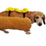 Mustard dog Steam avatar