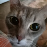 Big Avatar