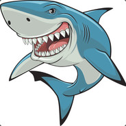 Shark(noob)