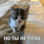 Пятка Севы