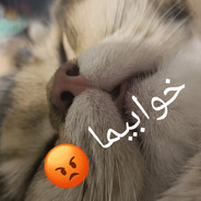 سورسگ واقعی