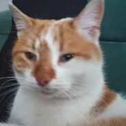 Fenny