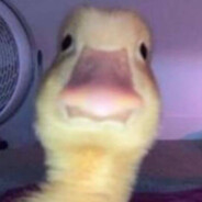 Ducklord