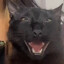catgirl mcginnis
