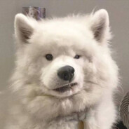 名探偵白羽蘇芳