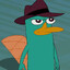 Perry The Platypus