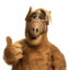 ALF