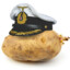 Major Potato