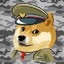 Cpt. Doge