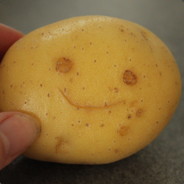 PotatoTot