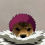 Stylish_Doge