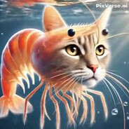 Trippi TroppiCASE.GIFT