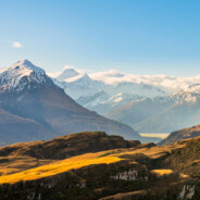 早上好中国，我有冰激