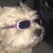 可以活过冬天了嘛