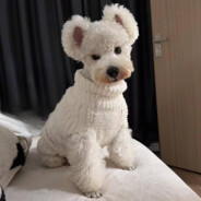 对啊我20包出传家宝